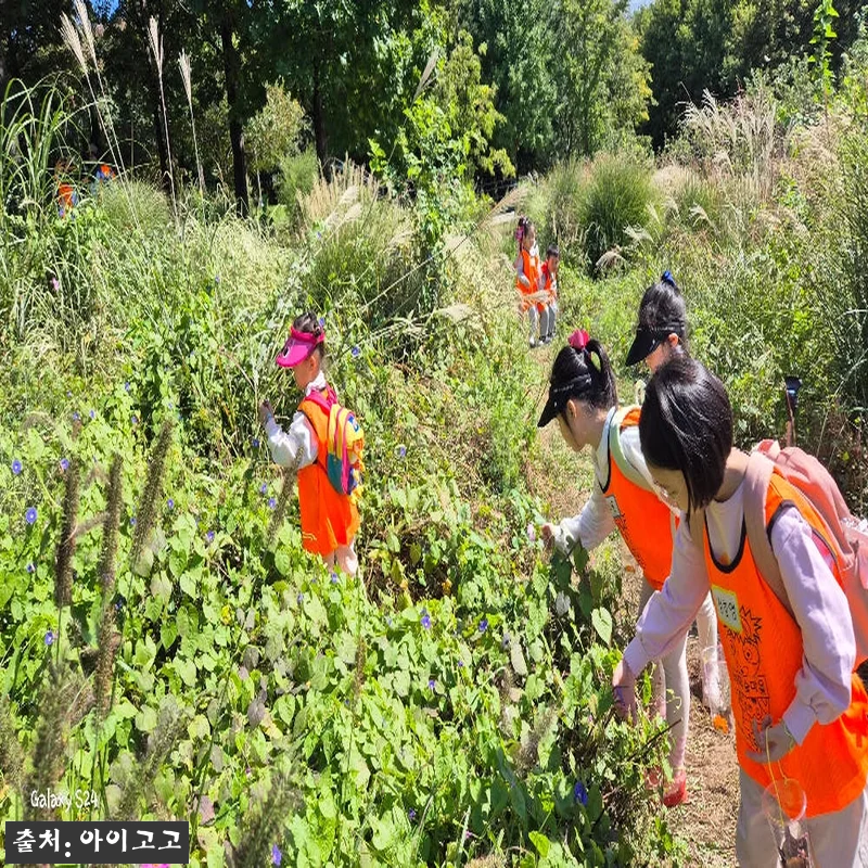 분당율동공원 깨비의숲마을 숲체험, 가 관련 이미지 3