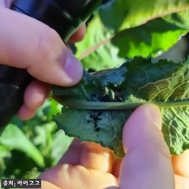 분당율동공원 깨비의숲마을 숲체험, 가 관련 이미지 4