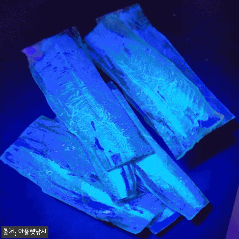 KF 학꽁치포 생미끼 채비 쭈꾸미 갑오징어 미끼, 3,000원 무료배송으로 준비하는 낚시 소품 14 KF 학꽁치포 생미끼 채비 쭈꾸미 갑 관련 이미지 5