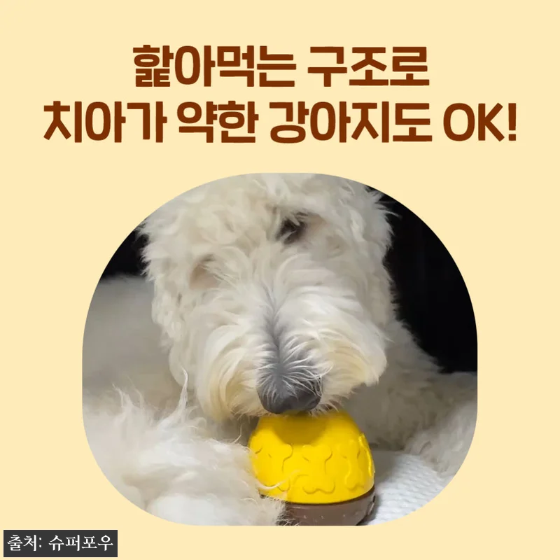 슈퍼포우 허니볼 조인트 350g 3개, 관절 관리 간식으로 눈여겨본 찐후기 12 슈퍼포우 허니볼 조인트 350g 3개 관련 이미지 5