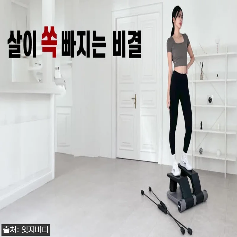 노르딕 에어스텝퍼 홈트 운동기구, 천 관련 이미지 6