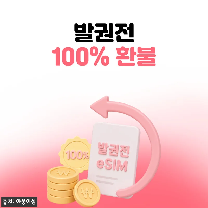 유럽이심 eSIM 1일 500MB 데이터 무제한 33개국, 출국 전 챙겨볼 이슈템 18 유럽이심 eSIM 1일 500MB 데 관련 이미지 7