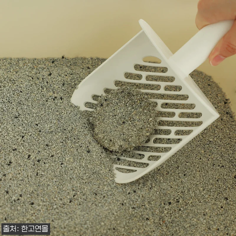아메리칸솔루션 아이솔레이트 고양이모래 관련 이미지 7