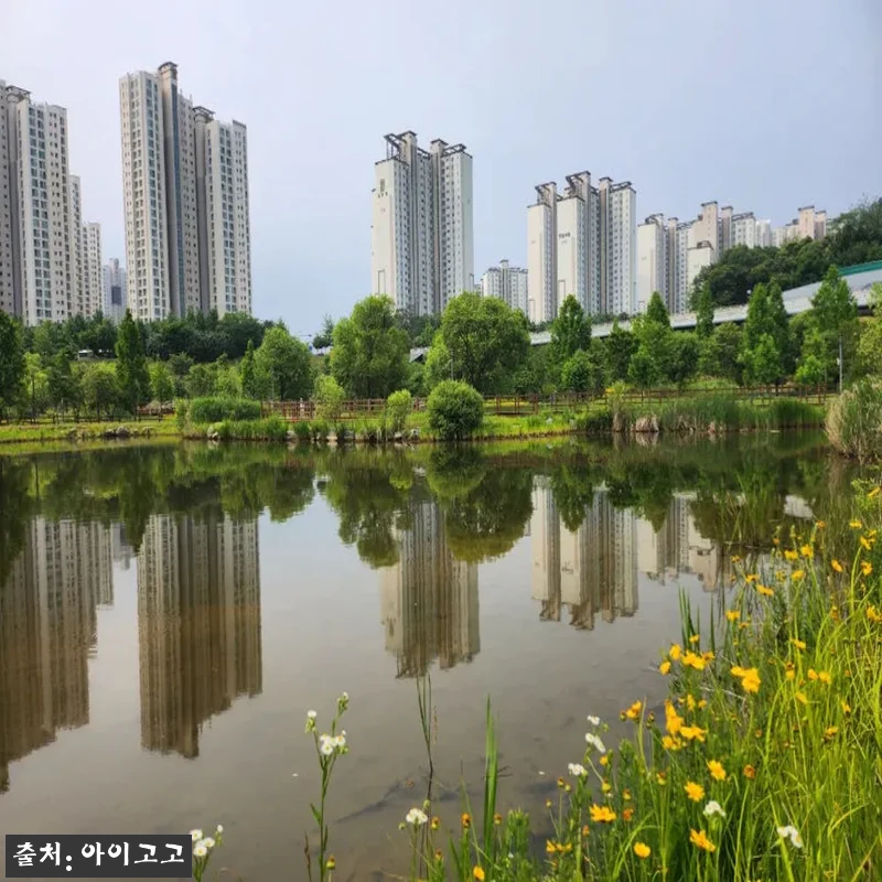 분당율동공원 깨비의숲마을 숲체험, 가 관련 이미지 8