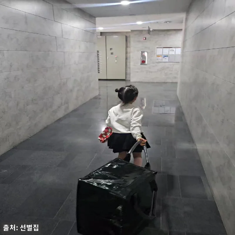 쇼핑 폴딩 카트 롤링카트 L(대형) 관련 이미지 10