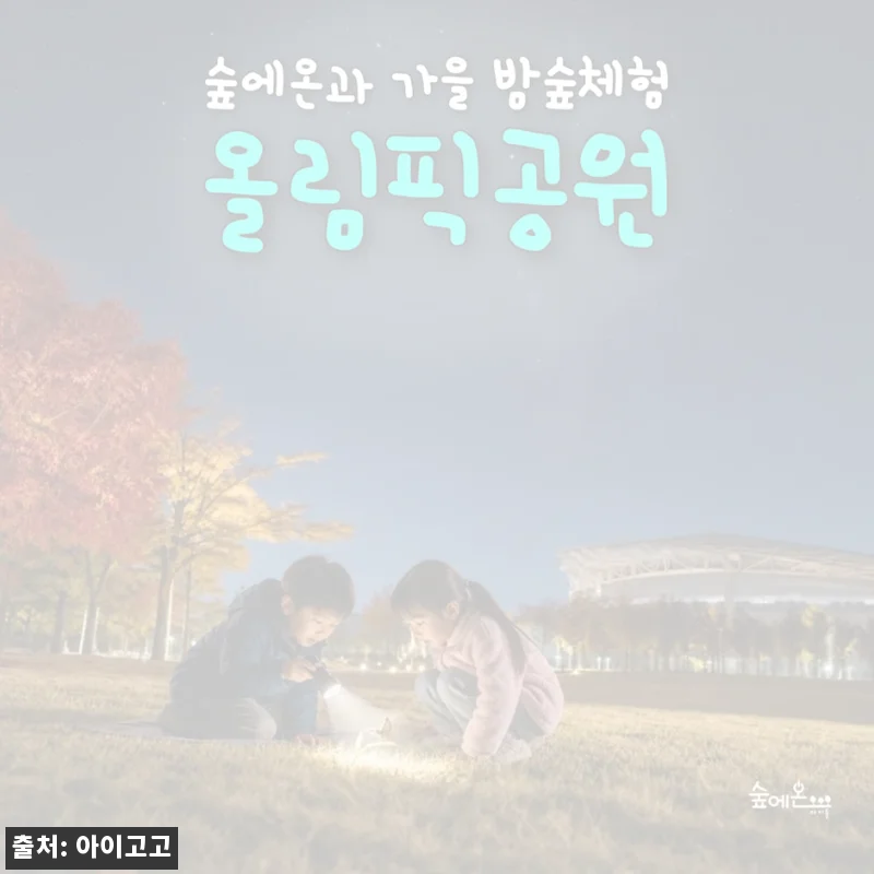 올림픽공원 어린이 가을 밤 곤충 숲체험, 주말 자연학습으로 눈여겨볼 만한 이유
