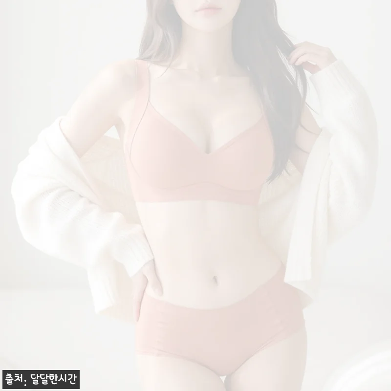 찾았다 인생브라 에어핏 심리스 노와이어브라팬티, 20,900원 할인 구매 전 체크한 핵심 포인트