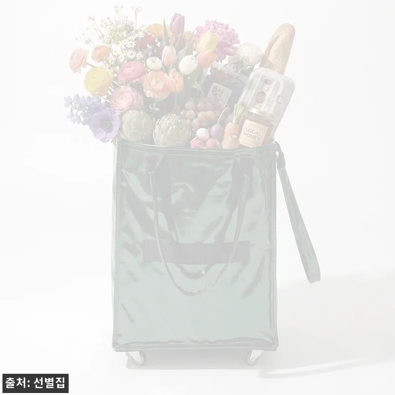 쇼핑 폴딩 카트 롤링카트 L(대형) 그린, 장보기부터 짐 이동까지 눈여겨볼 이슈템