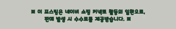 씨넥스 쪼꼬미500 J533 레이저 고등어 세트, 쭈꾸미·갑오징어 에기 고를 때 체크한 이슈템 2 이해관계문구
